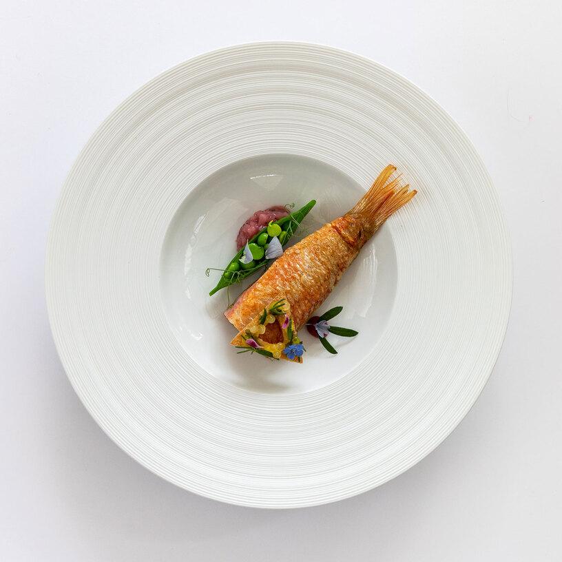 Gericht angerichtet auf weißem Teller Gericht angerichtet auf weißem Teller